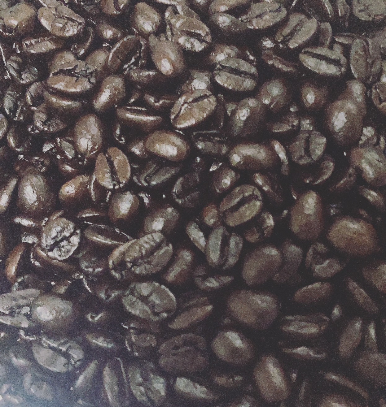 スタッフ紹介