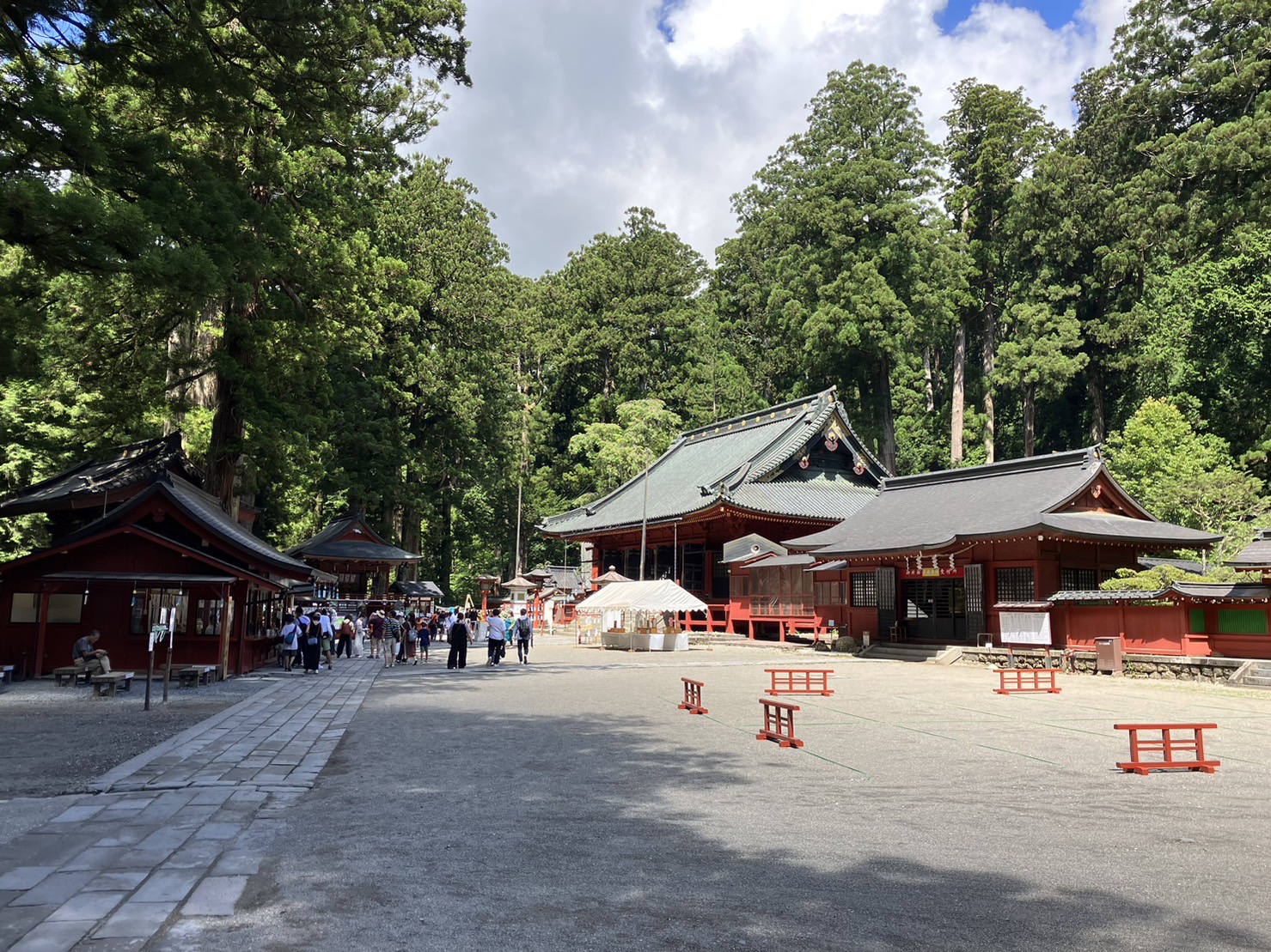 スタッフ紹介